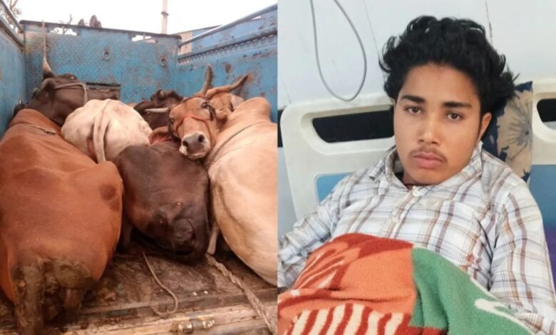 नूंह जिले में पुलिस और गौ तस्करों के बीच मुठभेड़, दो घायल