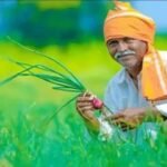 खेत में धान और पोर्टल पर गन्ना, किसानों को गेट पास में दिक्कत