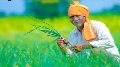 खेत में धान और पोर्टल पर गन्ना, किसानों को गेट पास में दिक्कत