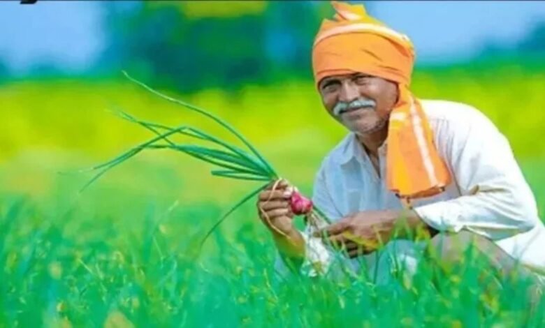 खेत में धान और पोर्टल पर गन्ना, किसानों को गेट पास में दिक्कत