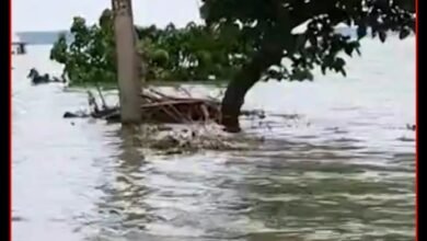 हाजीपुर में गंडक का कहर, 20 फीट रिंग बांध टूटने का दावा; 500 घरों में पानी घुसने की आशंका
