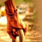 हरियाणा सरकार का बुजुर्गों के लिए बड़ा तोहफा