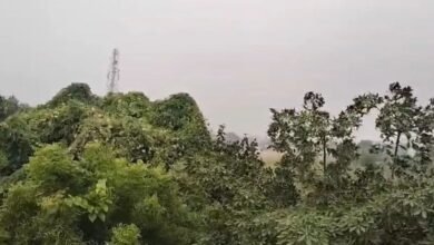 हरियाणा में बदला मौसम का मिजाज, दिल्ली समेत कई राज्यों में आज बारिश की चेतावनी; 50 KM/h तक चलेंगी हवाएं