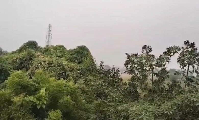 हरियाणा में बदला मौसम का मिजाज, दिल्ली समेत कई राज्यों में आज बारिश की चेतावनी; 50 KM/h तक चलेंगी हवाएं